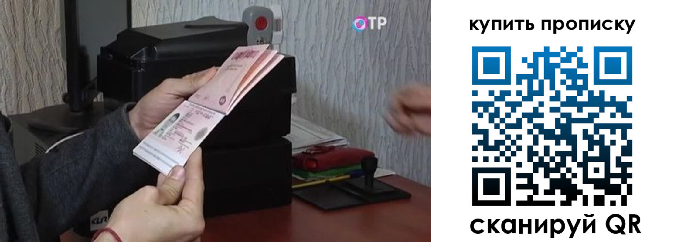 прописка гарантия в Камбарке